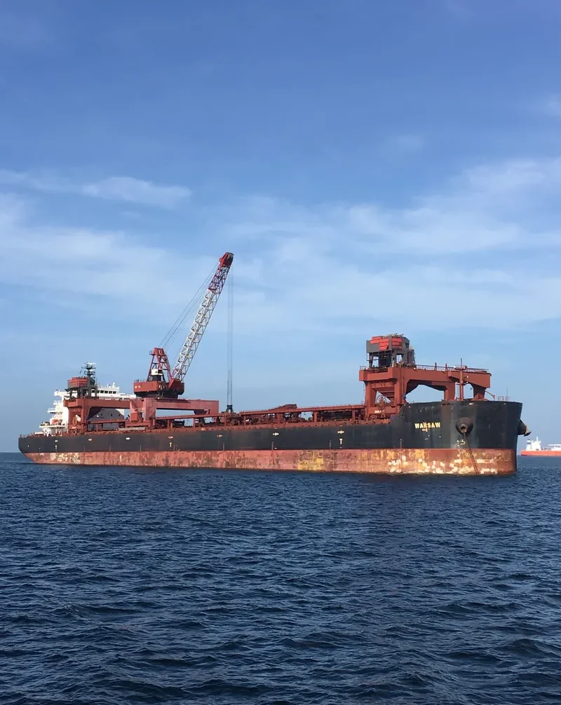 WARSAW Bulk Carrier IMO 9615389 photo 5