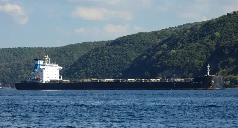 MODIGLIANI Bulk Carrier IMO 9615406 photo 3