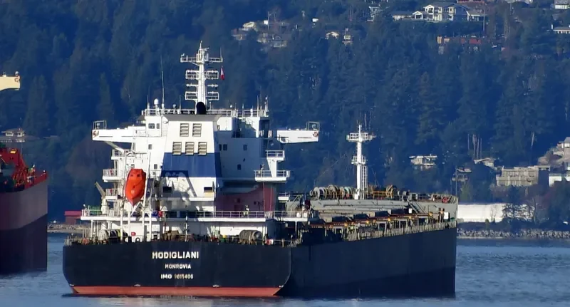 MODIGLIANI Bulk Carrier IMO 9615406 photo 5