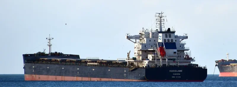 MODIGLIANI Bulk Carrier IMO 9615406 photo 6
