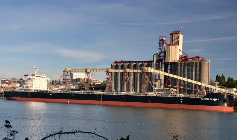 STAR CHARIS Bulk Carrier IMO 9615418 photo 3