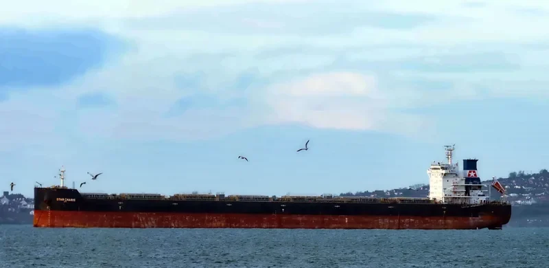 STAR CHARIS Bulk Carrier IMO 9615418 photo 9