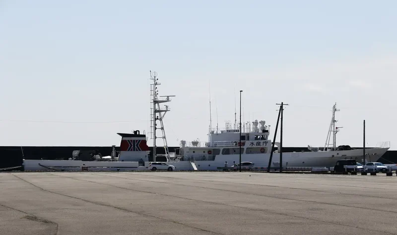 MUSASHI General Cargo IMO 9615535 photo 4