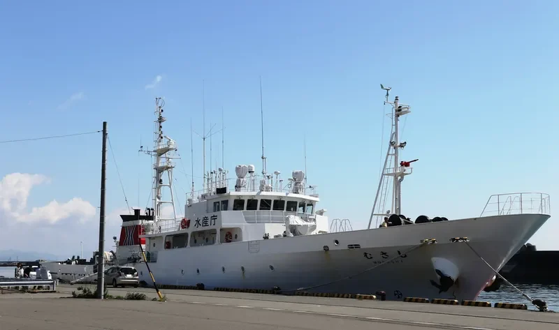 MUSASHI General Cargo IMO 9615535 photo 5