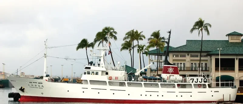 TOSAKAIEN MARU General Cargo IMO 9615547 photo 4
