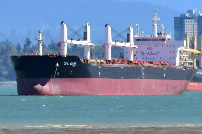 SFL KATE Bulk Carrier IMO 9615676 photo 10