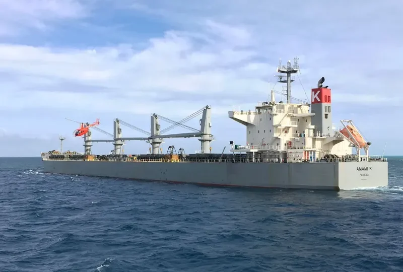 OBE GRANDE Bulk Carrier IMO 9615731 photo 3