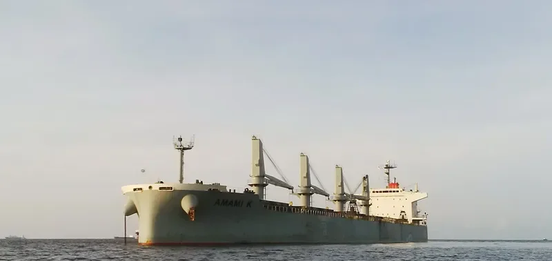 OBE GRANDE Bulk Carrier IMO 9615731 photo 4