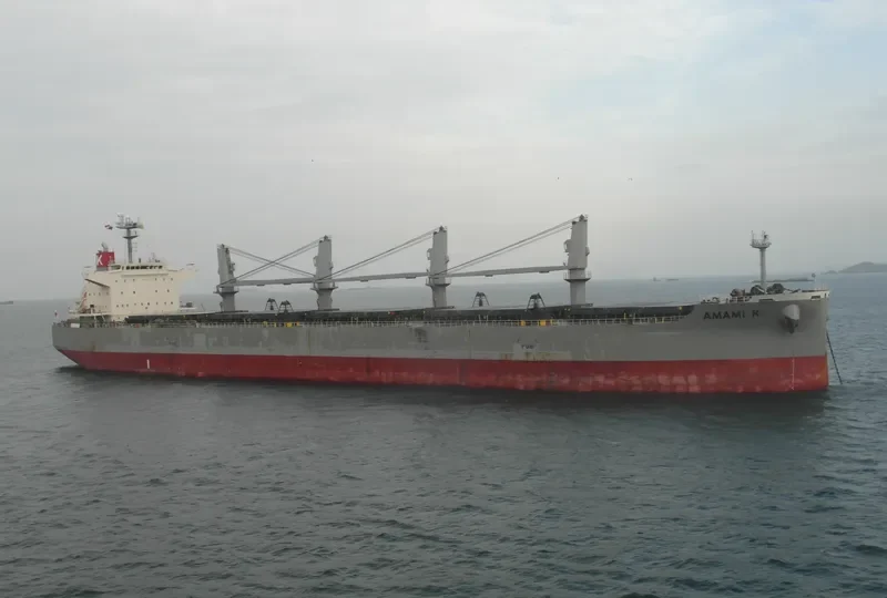 OBE GRANDE Bulk Carrier IMO 9615731 photo 7