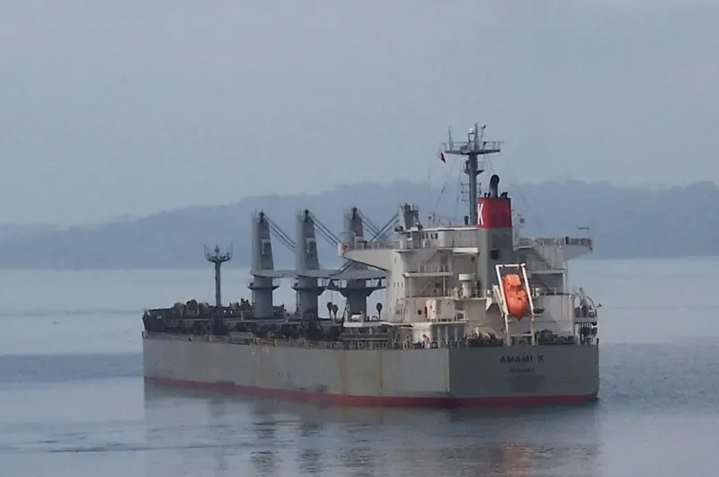 OBE GRANDE Bulk Carrier IMO 9615731 photo 9