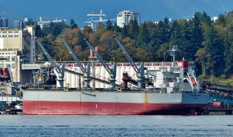 CLIFTON BAY Bulk Carrier IMO 9615743 photo 8