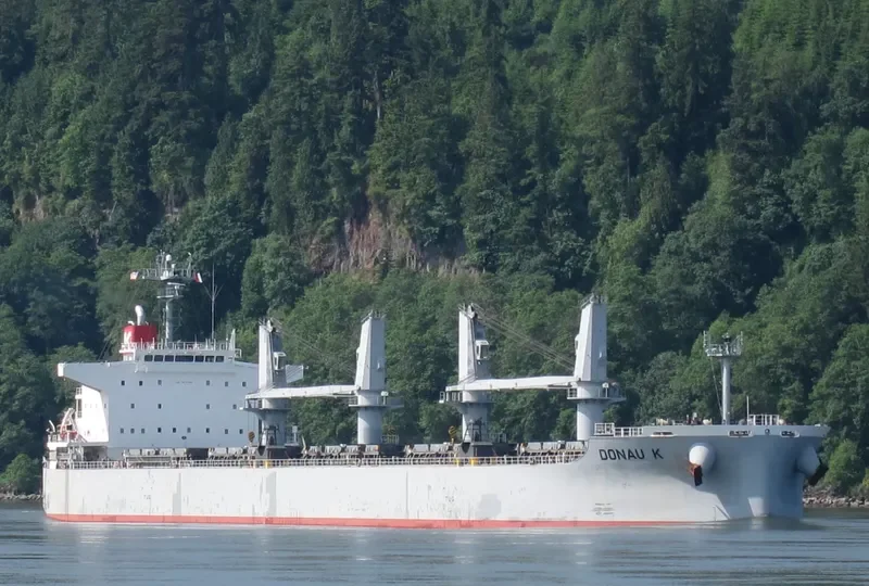 PROPEL GLORY Bulk Carrier IMO 9615755 photo 10