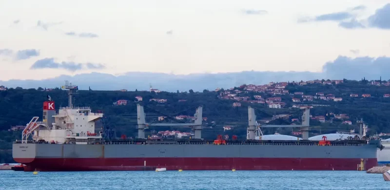 EUROPA BAY Bulk Carrier IMO 9615767 photo 3