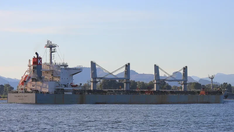 FALMOUTH BAY Bulk Carrier IMO 9615779 photo 2
