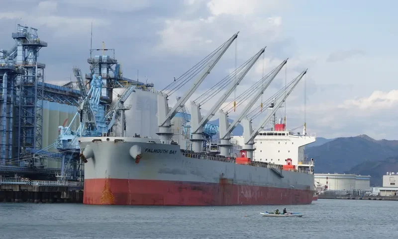 FALMOUTH BAY Bulk Carrier IMO 9615779 photo 6