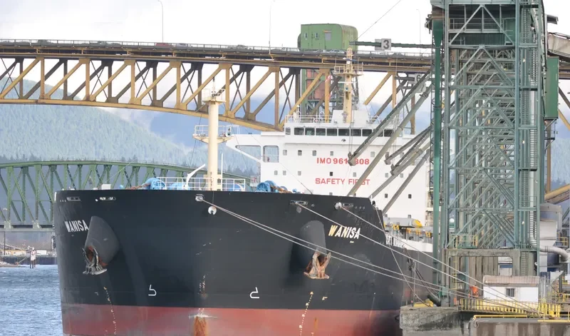 WANISA Bulk Carrier IMO 9615808 photo 5