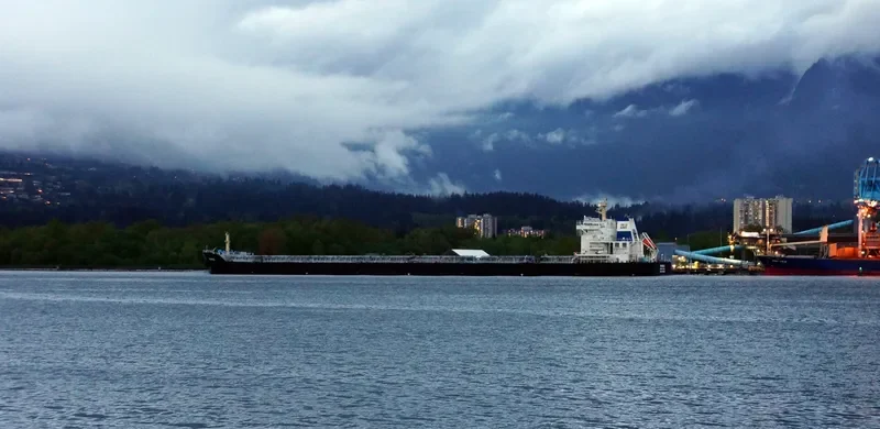 WANISA Bulk Carrier IMO 9615808 photo 7