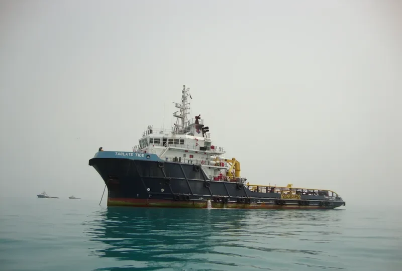 TABLATE TIDE Multi-Purpose Vessel IMO 9615810