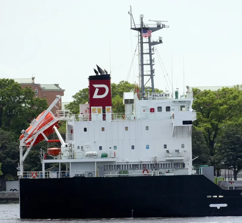 BALSA 87 General Cargo IMO 9616022 photo 4