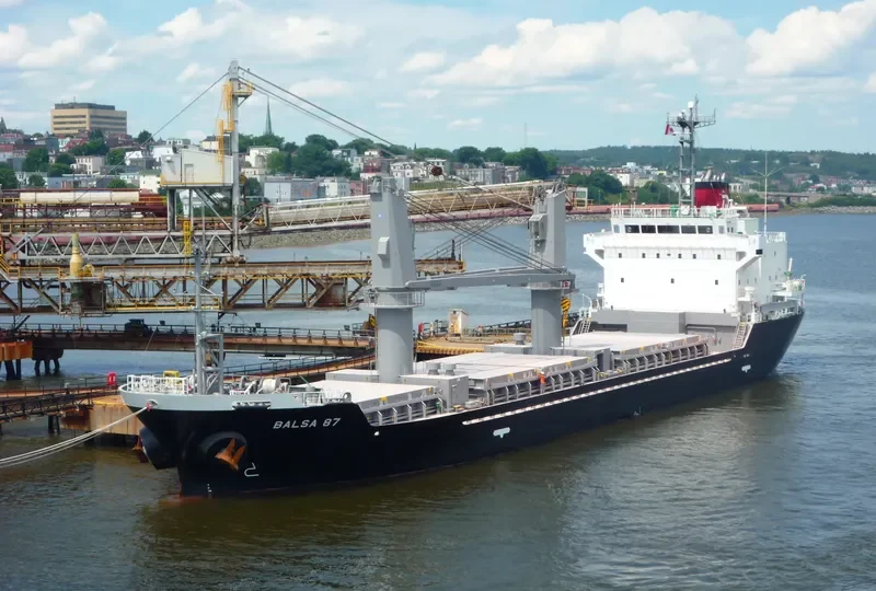 BALSA 87 General Cargo IMO 9616022 photo 6