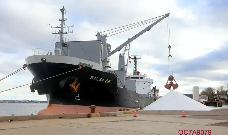 BALSA 88 General Cargo IMO 9616034 photo 2