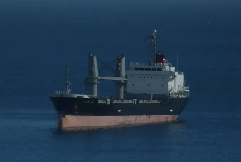 BALSA 88 General Cargo IMO 9616034 photo 4