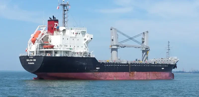 BALSA 88 General Cargo IMO 9616034 photo 7