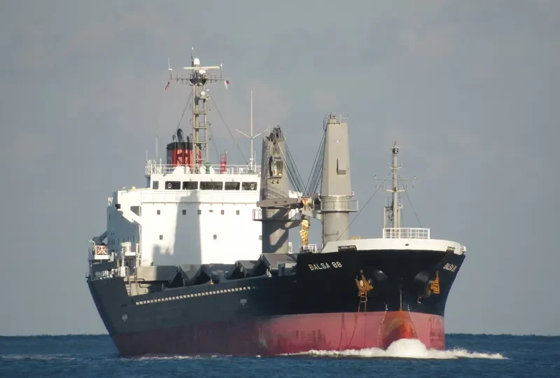 BALSA 88 General Cargo IMO 9616034 photo 8