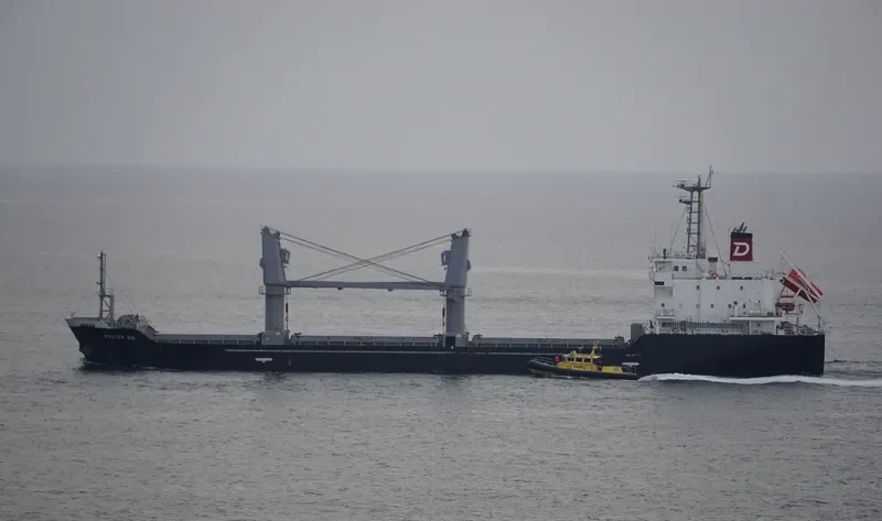 BALSA 89 General Cargo IMO 9616046 photo 3