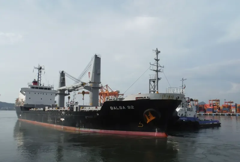 BALSA 92 General Cargo IMO 9616060 photo 4