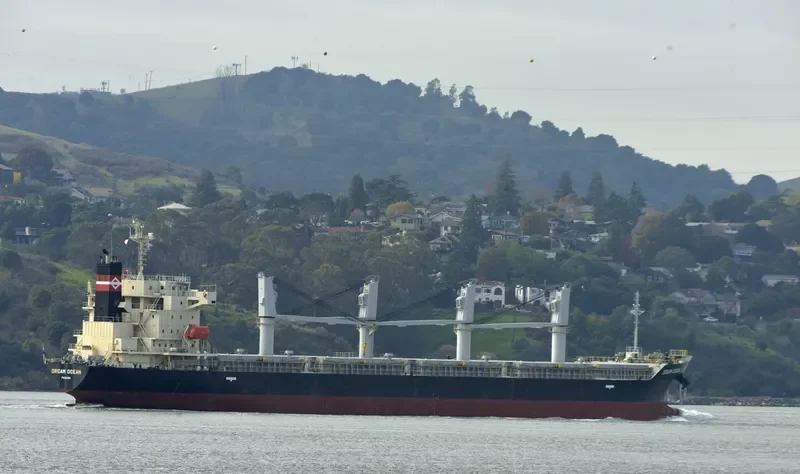 DREAM OCEAN Bulk Carrier IMO 9616101 photo 2
