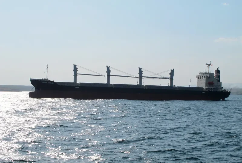 DREAM OCEAN Bulk Carrier IMO 9616101 photo 5