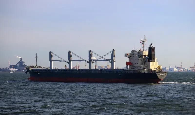 SUPER VALENTINA Bulk Carrier IMO 9616113 photo 4