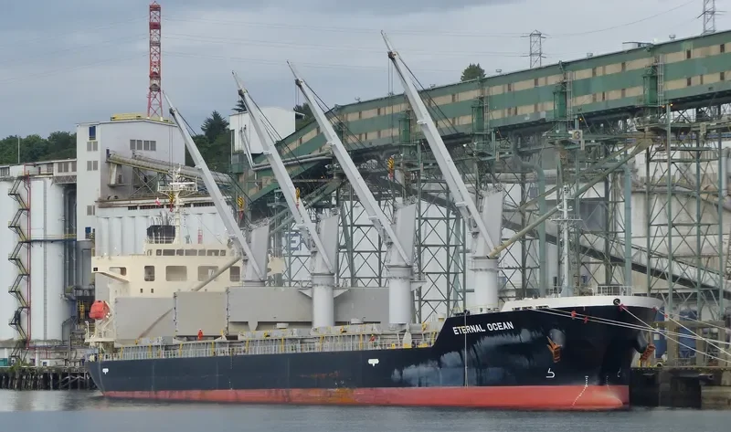 SUPER VALENTINA Bulk Carrier IMO 9616113 photo 5