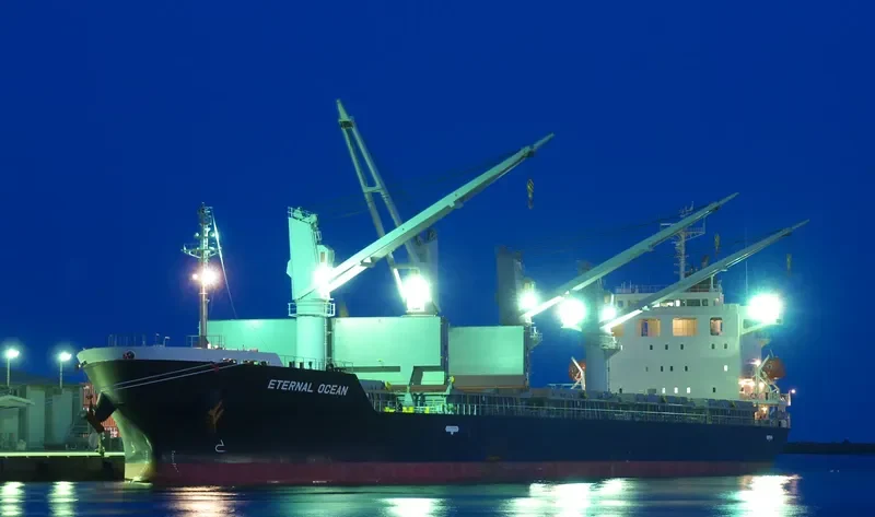 SUPER VALENTINA Bulk Carrier IMO 9616113 photo 7