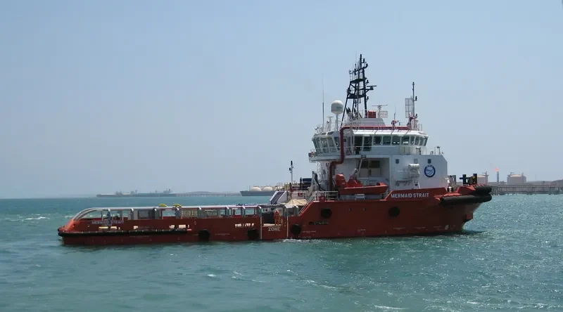 MERMAID STRAIT General Cargo IMO 9616216