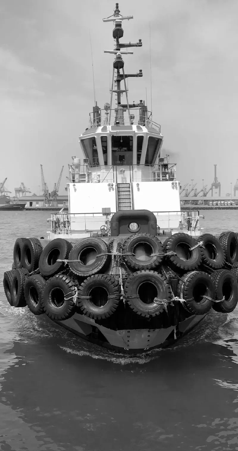DAMMAM 14 General Cargo IMO 9616503