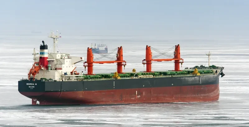 GEORGIA M Bulk Carrier IMO 9616618 photo 2