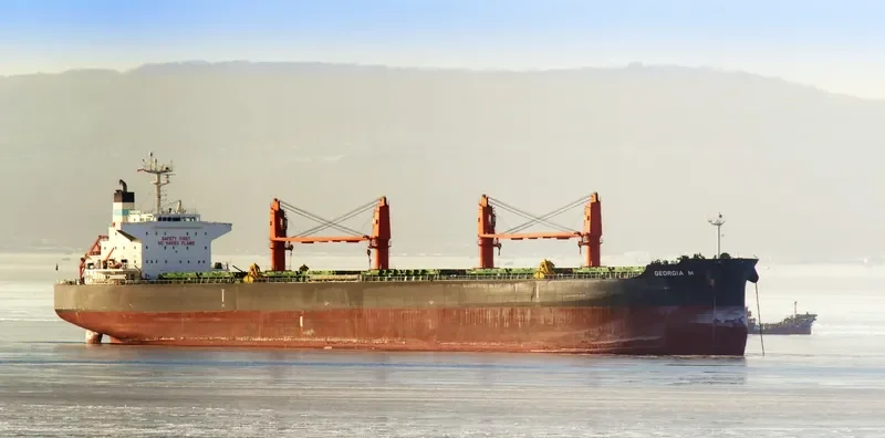 GEORGIA M Bulk Carrier IMO 9616618 photo 5