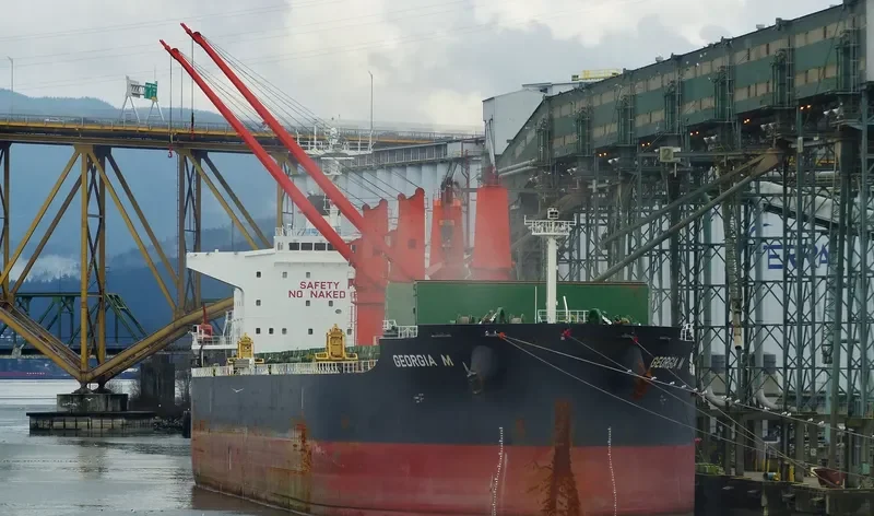 GEORGIA M Bulk Carrier IMO 9616618 photo 7