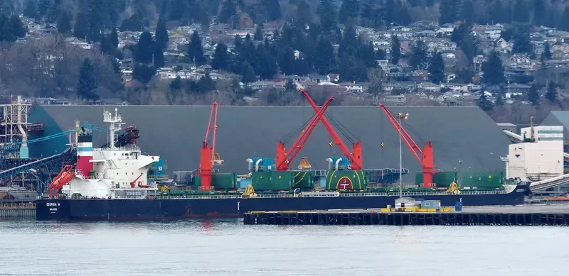 GEORGIA M Bulk Carrier IMO 9616618 photo 9