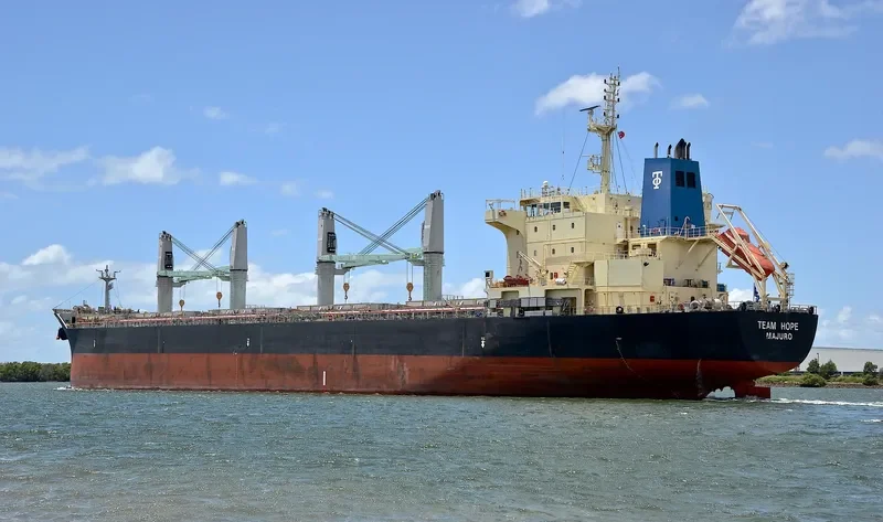 TEAM HOPE Bulk Carrier IMO 9616723