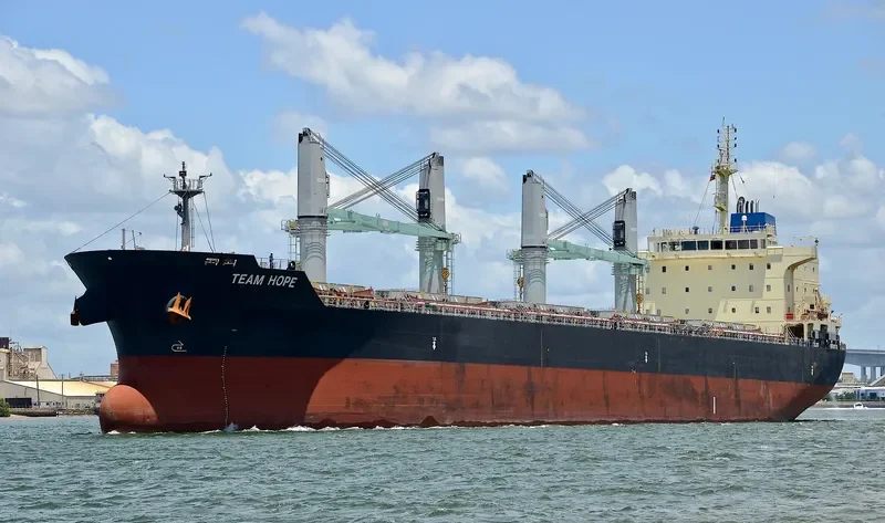 TEAM HOPE Bulk Carrier IMO 9616723 photo 2