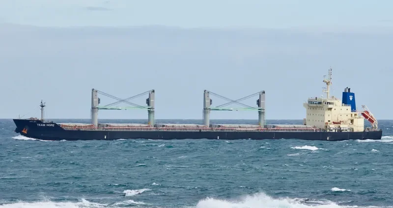 TEAM HOPE Bulk Carrier IMO 9616723 photo 3