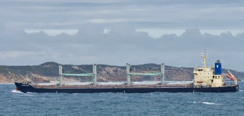 TEAM HOPE Bulk Carrier IMO 9616723 photo 4