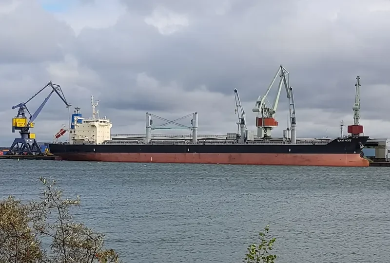 TEAM HOPE Bulk Carrier IMO 9616723 photo 6