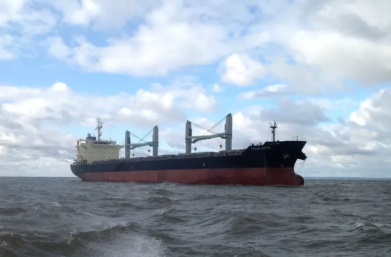 TEAM HOPE Bulk Carrier IMO 9616723 photo 8