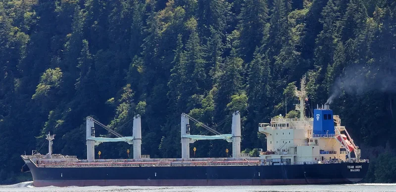 TEAM HOPE Bulk Carrier IMO 9616723 photo 9