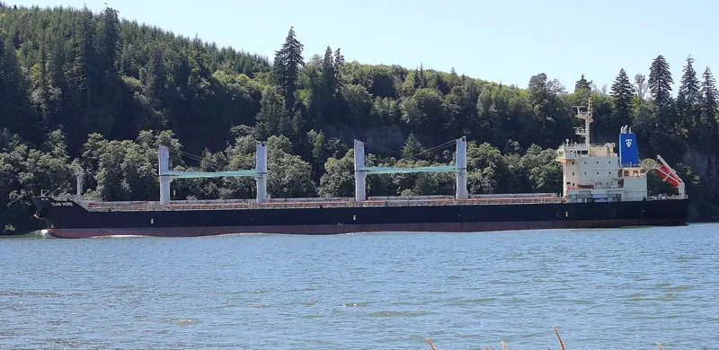 TEAM HOPE Bulk Carrier IMO 9616723 photo 10