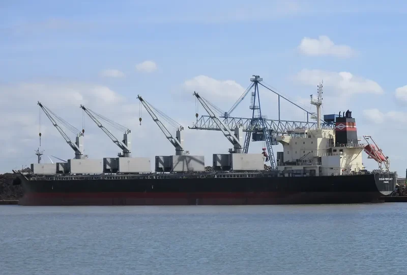 OCEAN MERCURY Bulk Carrier IMO 9616735 photo 3